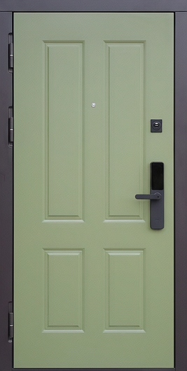 Стальная дверь с окрашенными зелеными панелями и биометрическим замком